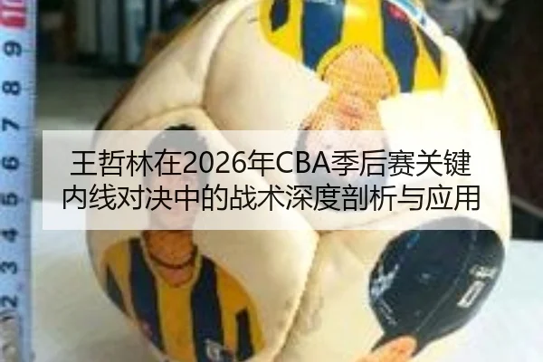 王哲林在2026年CBA季后赛关键内线对决中的战术深度剖析与应用
